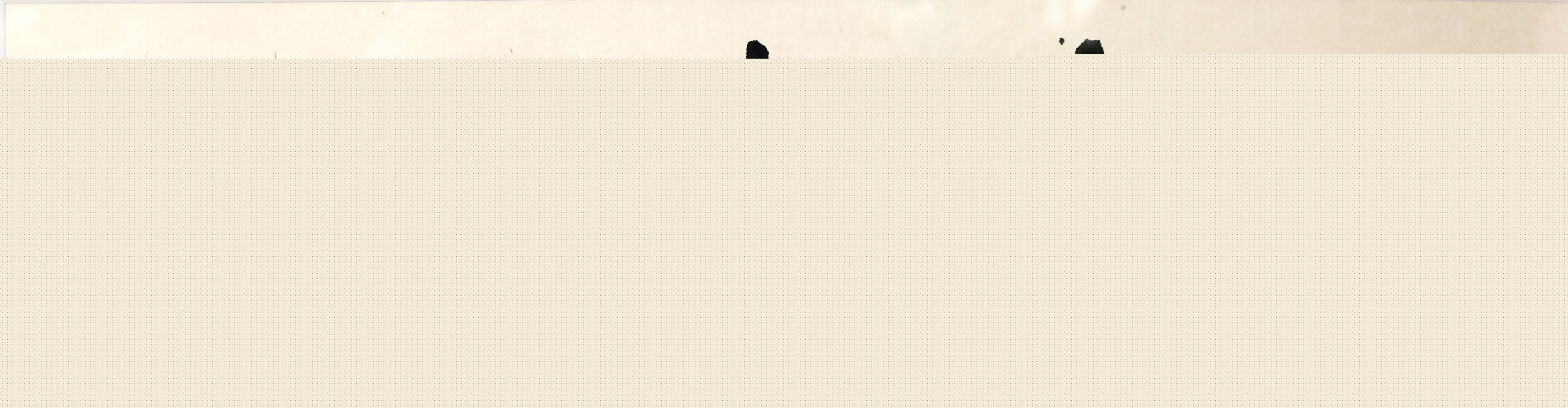 1000.jpg